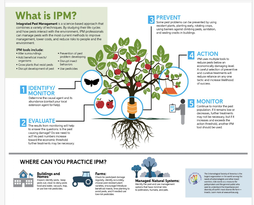 IPM management strategies infographic